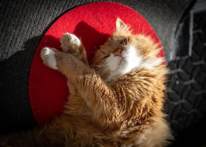 Alpinside Apartament Heiligenblut